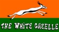 White Gazelle