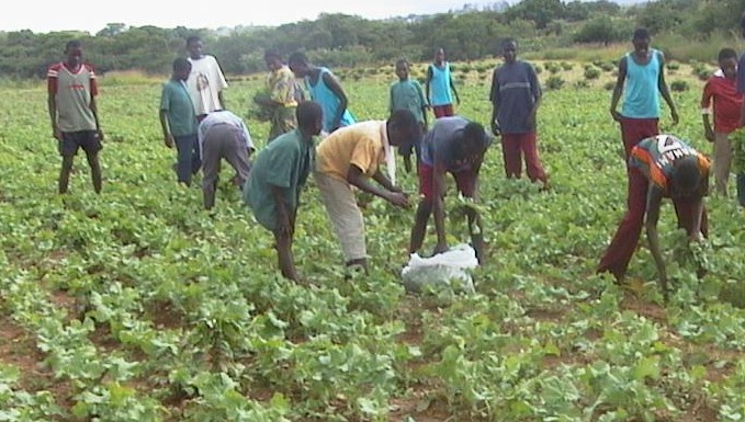 Farming