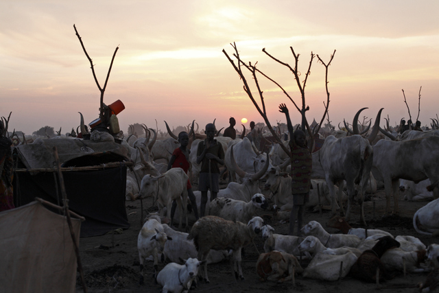 Bunagok. Dinka cattle camp.