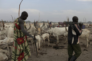Wathaguar. Armed protection in the cattle camp.