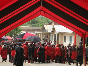 Assorted images from the procession 