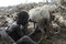 South Sudan: Economic Challenges Await the New Nation