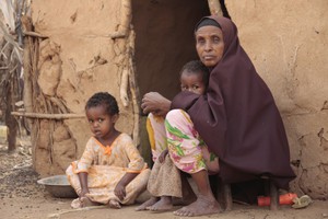 Dadaab Camp